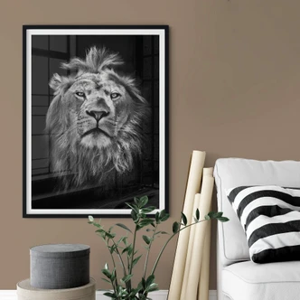 Poster Lion 