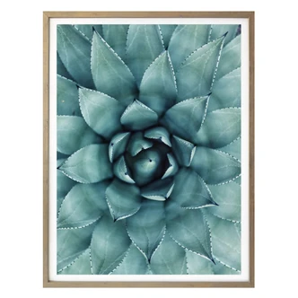 Poster Agave 02 