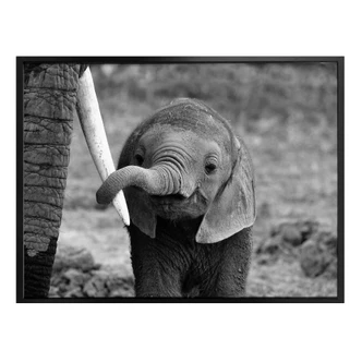 Poster Alicke - Close to Mom 