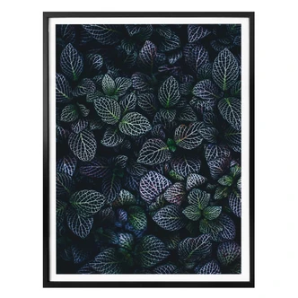 Poster Botanical Contrast 