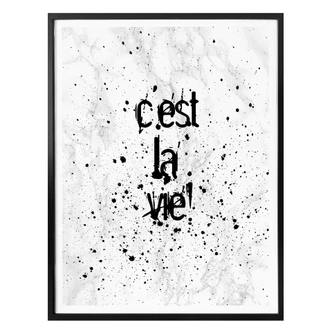 Poster C'est la vie 