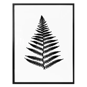 Poster Fern 
