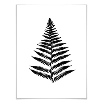 Poster Fern 
