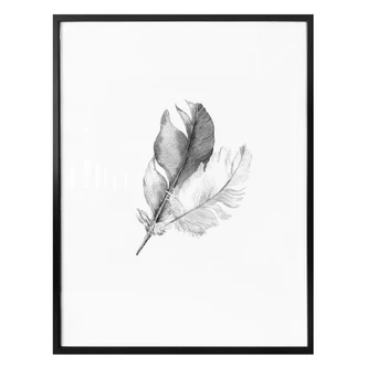 Poster Feathers 