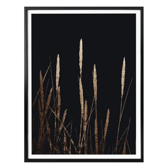Poster Kubistika - Golden Feathers 
