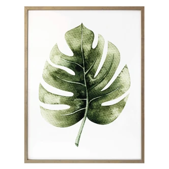 Poster Kvilis - Monstera Leaf 
