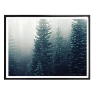 Poster Foggy Forest 