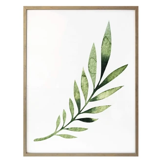 Poster Kvilis - Palm Leaf 