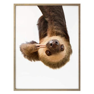 Poster Sisi & Seb - Sloth 