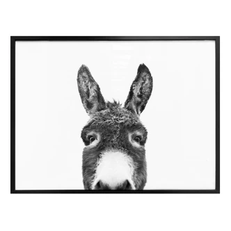 Poster Sisi & Seb - Donkey 