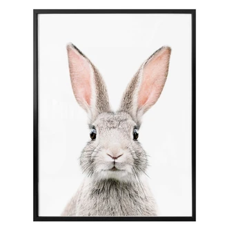 Poster Sisi & Seb - Hello Bunny 