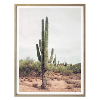 Poster Sisi & Seb - Cacti 