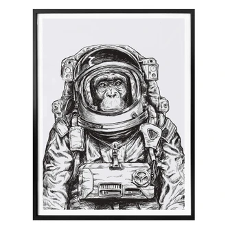 Poster Space Monkey 
