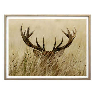 Poster Watchful deer 