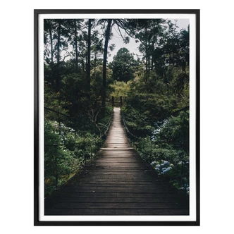 Poster Forest Road 