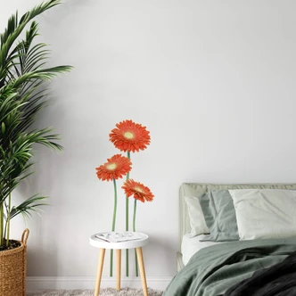 Gerbera Bundle Orange Wall sticker 