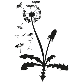 Dandelion 2 Wall sticker 