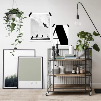 Poster Free as a Bird 