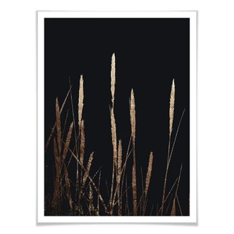 Poster Kubistika - Golden Feathers 