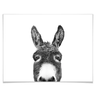 Poster Sisi & Seb - Donkey 