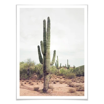 Poster Sisi & Seb - Cacti 