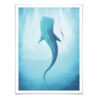 Poster Rivers - The Whale shark 