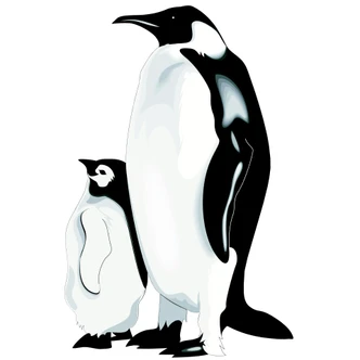 Penguins Wall sticker 