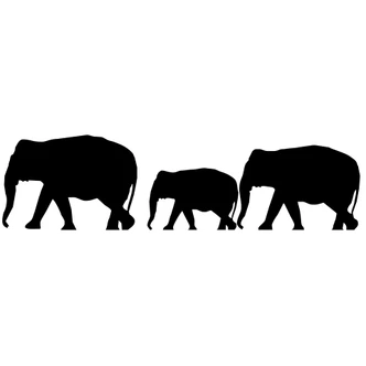 Elephants Wall sticker 