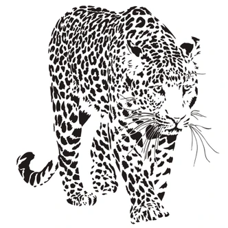 Leopard Wall sticker 