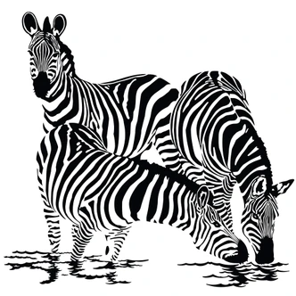 Zebras 2 Wall sticker 