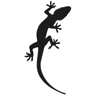 Gecko 3 Wall sticker 