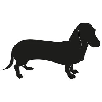 Dachshund 1 Wall sticker 