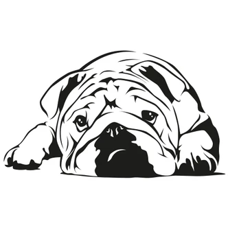 English Bulldog Wall sticker 