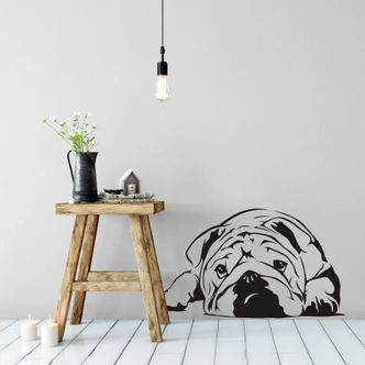 English Bulldog Wall sticker 