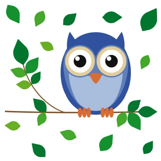 Einstein Owl Wall sticker 