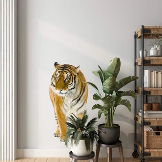 Real Tiger Wall sticker 