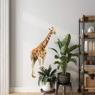 Real Giraffe Wall sticker 