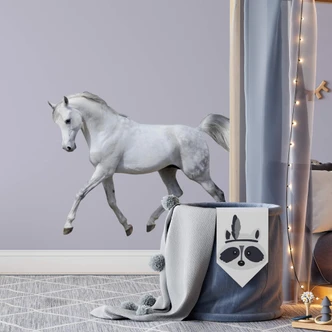Real Horse Wall sticker 