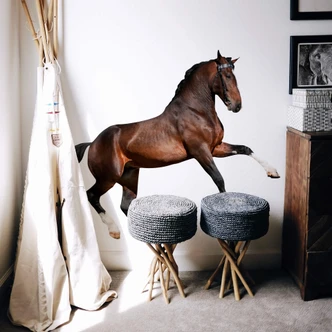Real acting Horse Wall sticker 