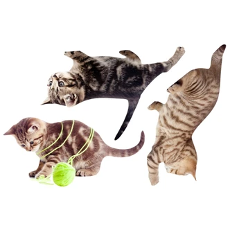 Real Baby Cats Set 02 Wall Sticker 