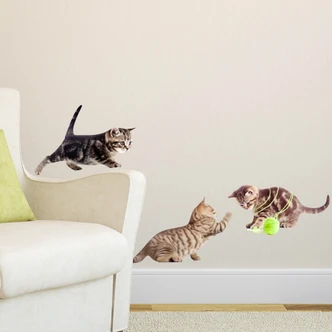 Real Baby Cats Set 02 Wall Sticker 