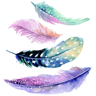 Wall sticker Water colour feathers 02 