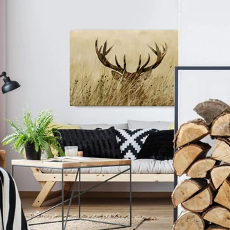 Watchful Deer Canvas print 