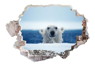 3D wall sticker National Geo polar bear 