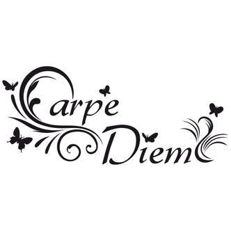 Carpe Diem 3 Wall sticker 
