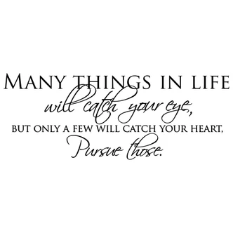 Many Things in Life Wall sticker 