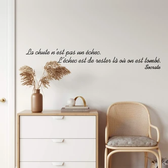 La chute n\'est pas un echec... Wall sticker 