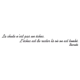 La chute n\'est pas un echec... Wall sticker 