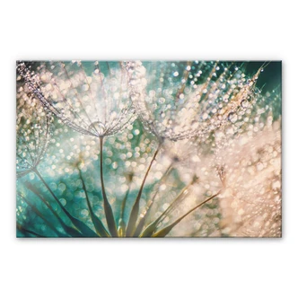 Acrylic Print Delgado - Glittery Dandelions 