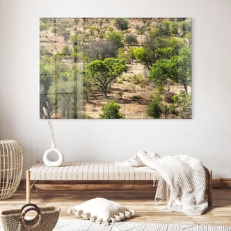 Acrylic print Savannah landscape in Africa - Hugonnard 